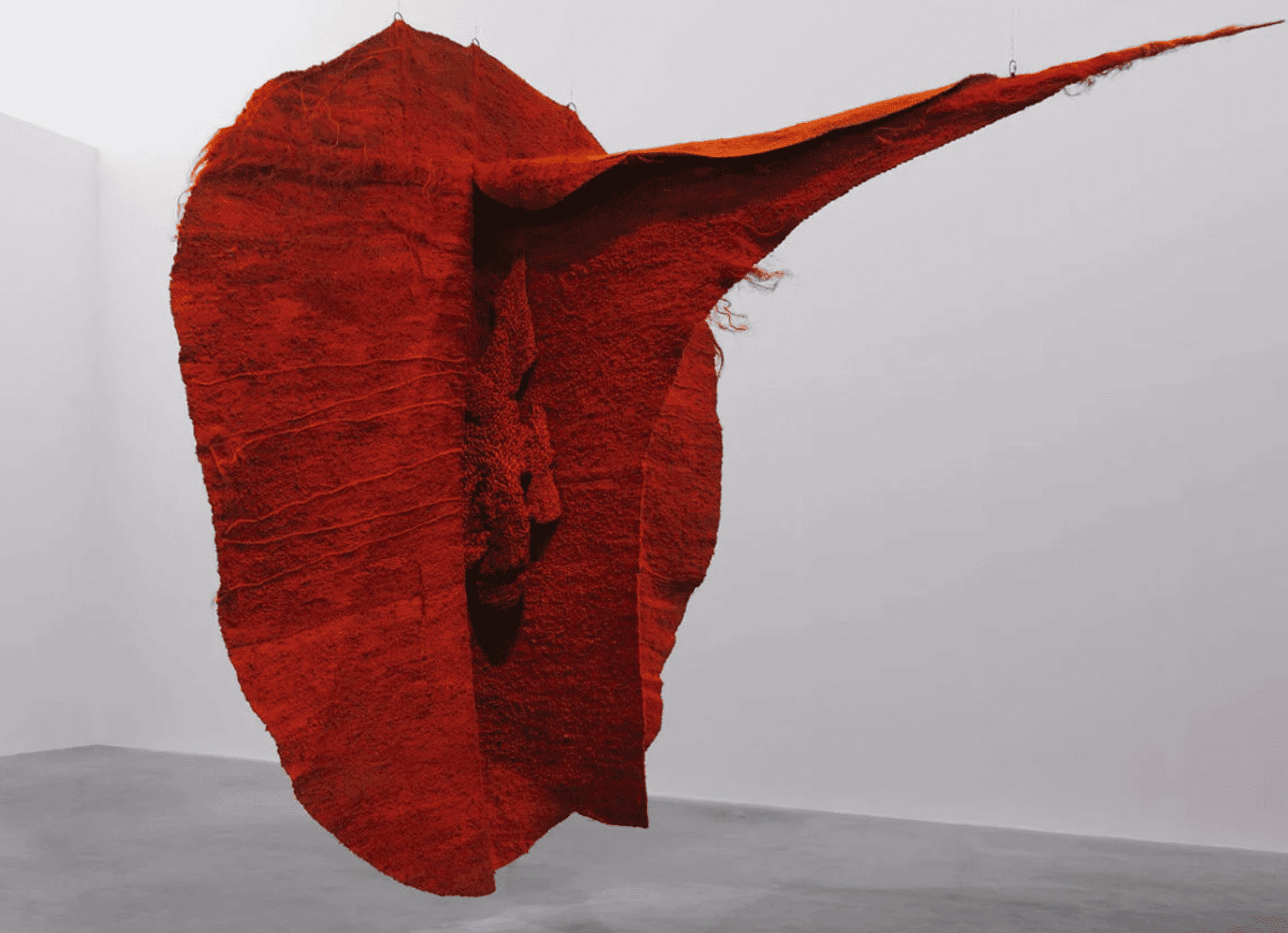 Visite privée, Exposition Magdalena Abakanowicz. La Trame de l'existence, Musée Bourdelle